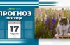 прогноз погоди