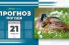 прогноз погоди, синоптики, гідрометеорологія
