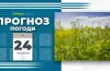 прогноз погоди, синоптики, гідрометеорологія