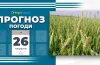 прогноз погоди