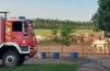 На Дніпропетровщині горів кінний двір «Отаман»