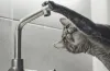 вода