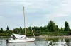 Дніпро, вітрильна регата для ветеранів 