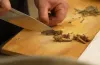 страви із сарани