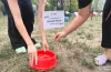у Дніпрі встановлено понад 30 поїлок для безпритульних тварин
