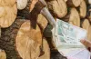 Жителі прифронтових громад можуть отримати виплати на дрова