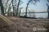 У Таромському чоловік незаконно вирубував дерева: лісоруба затримали