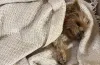 На Дніпропетровщину йдуть заморозки
