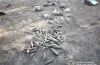 Біля Тернівки браконьєр «нарибалив» на понад 300 тисяч гривень збитків 