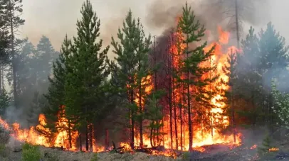 пожежна небезпека