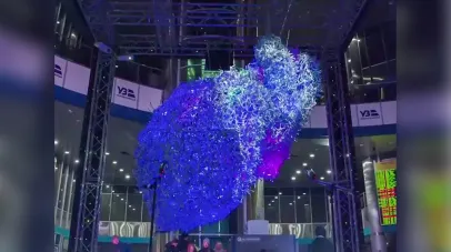 інсталяція, мистецький проєкт
