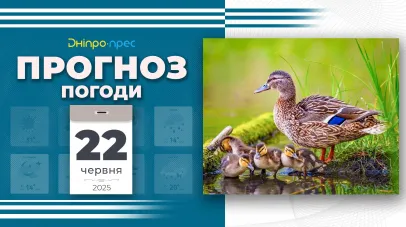 погода