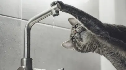 вода