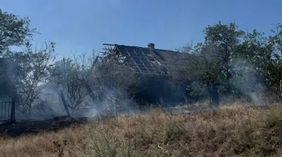 Агресор обстріляв Нікопольщину артилерією та дронами: є поранена жінка