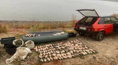 На Криворіжжі піймали браконьєра із солідним уловом
