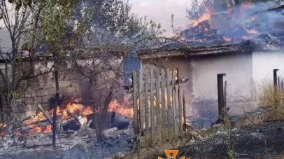 Вогонь забрав у людей житло: наслідки лісової пожежі у Миколаївці