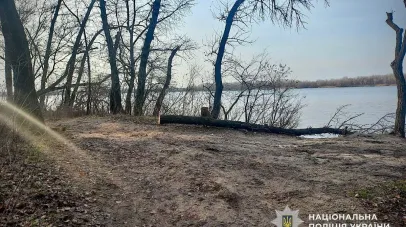 У Таромському чоловік незаконно вирубував дерева: лісоруба затримали