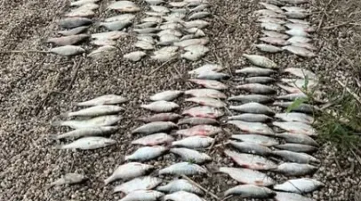 На Кам’янському водосховищі піймали молодого браконьєра