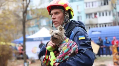 У Дніпрі рятувальники дістали з-під завалів живу собаку