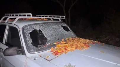 Стрілянина у Синельниківському районі: поранена жінка