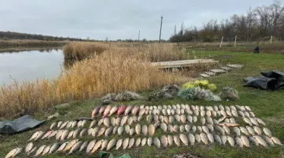На Криворіжжі затримали браконьєрів