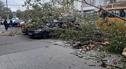 Шквальний вітер, пошкодження