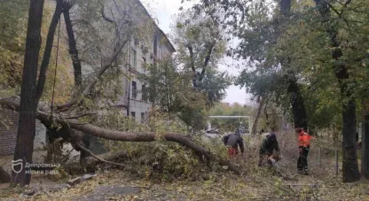 Наслідки негоди