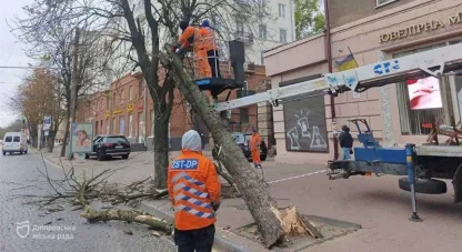 Наслідки негоди