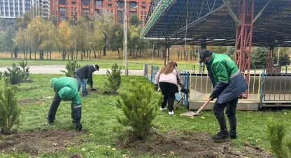 Екоактивіст, саджанці, сосни, парк