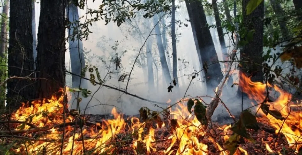 На Дніпропетровщині зберігається надзвичайна пожежна небезпека