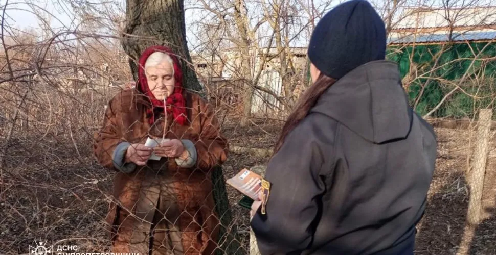 дснс
