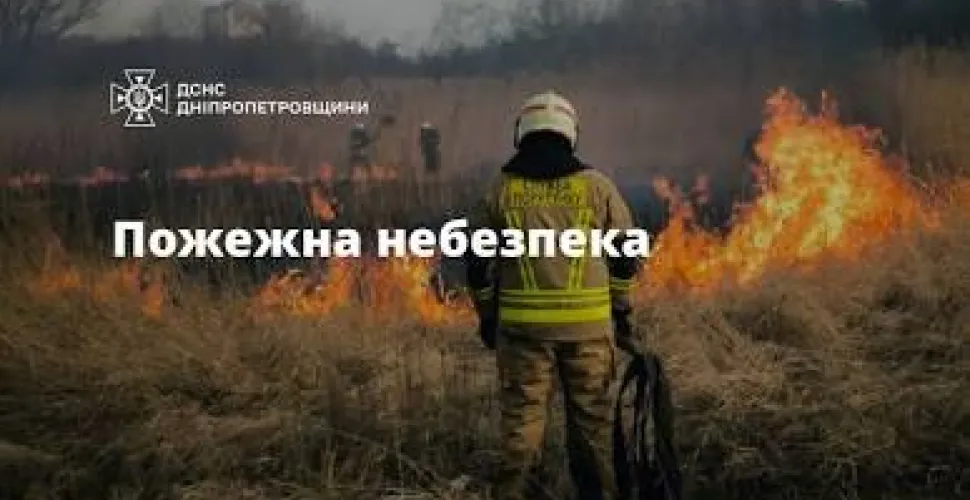 дснс