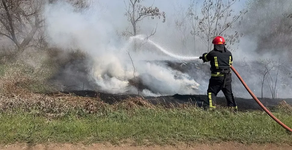 Понад 19 гектарів екосистем згоріло за добу на Дніпропетровщині