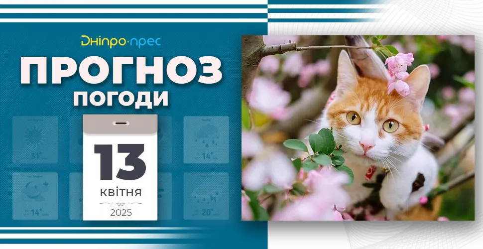 погода