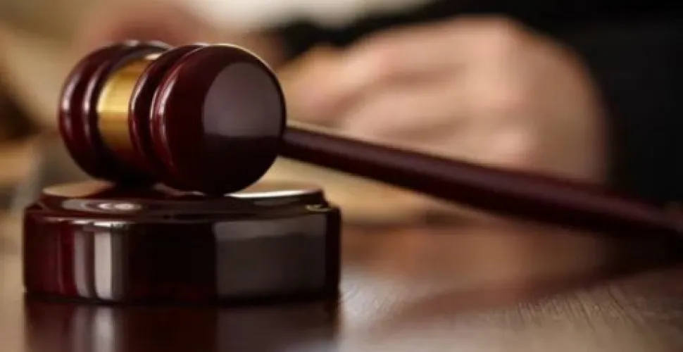 вирок зрадниці із Синельниківського району