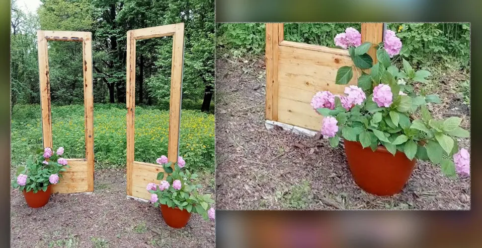 ботанічний сад, концерт, класична музика