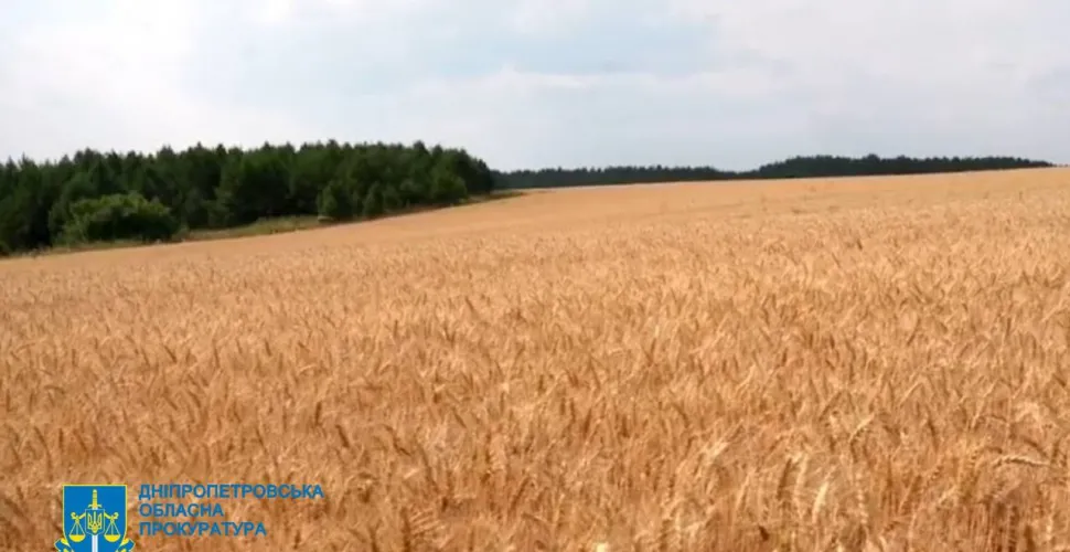 область