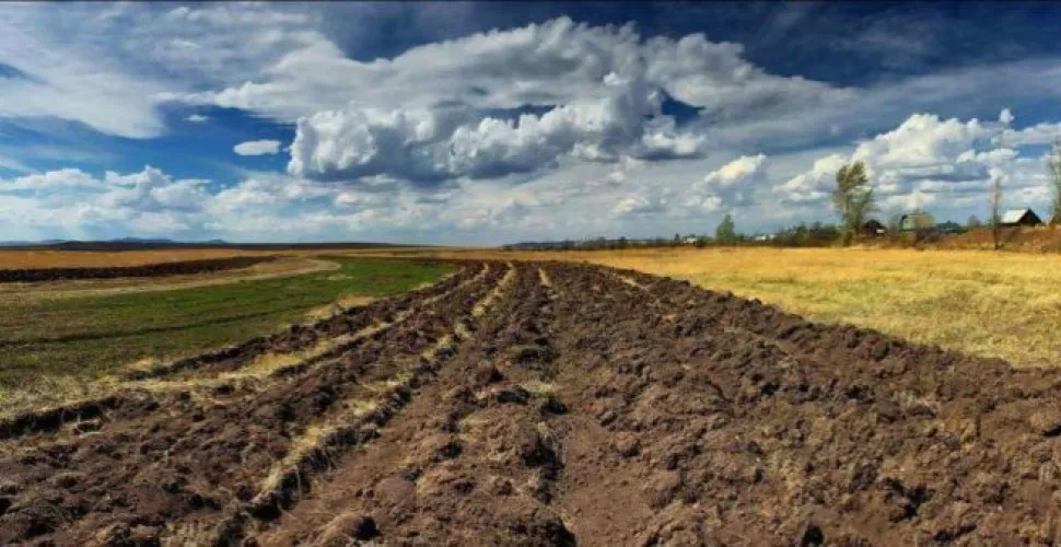 земля