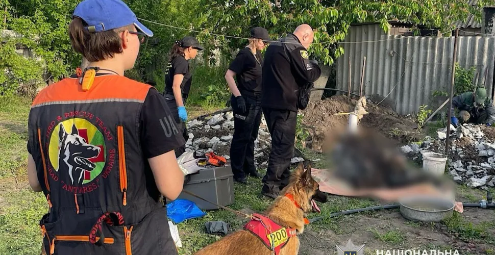вбивство