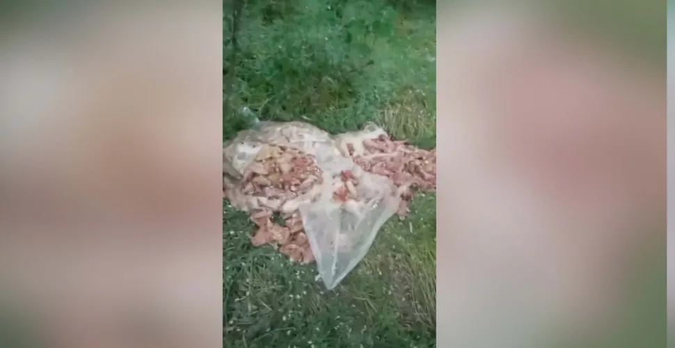 мʼясо, викидання, лісосмуга, загроза довкіллю