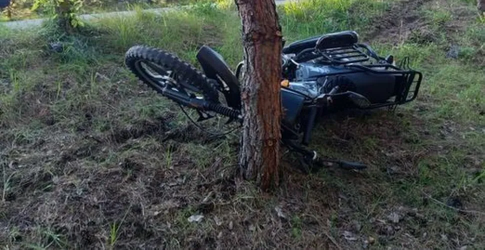 зіткнення, мотоцикл, дерево