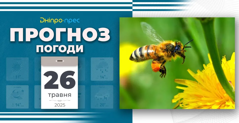 прогноз
