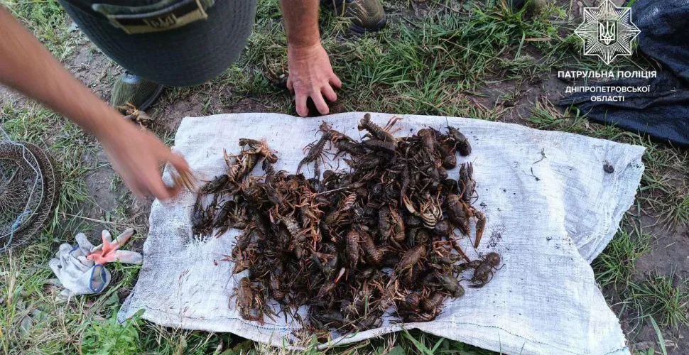 раки