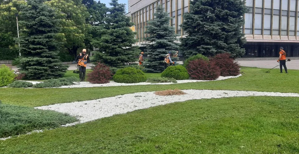 покос трави, благоустрій