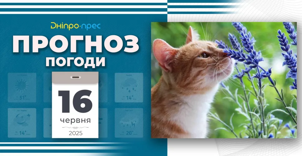Прогноз погоди на 16 червня: у Дніпропетровській області — дощі, грози та поривчастий вітер