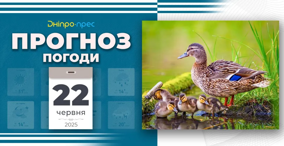 погода