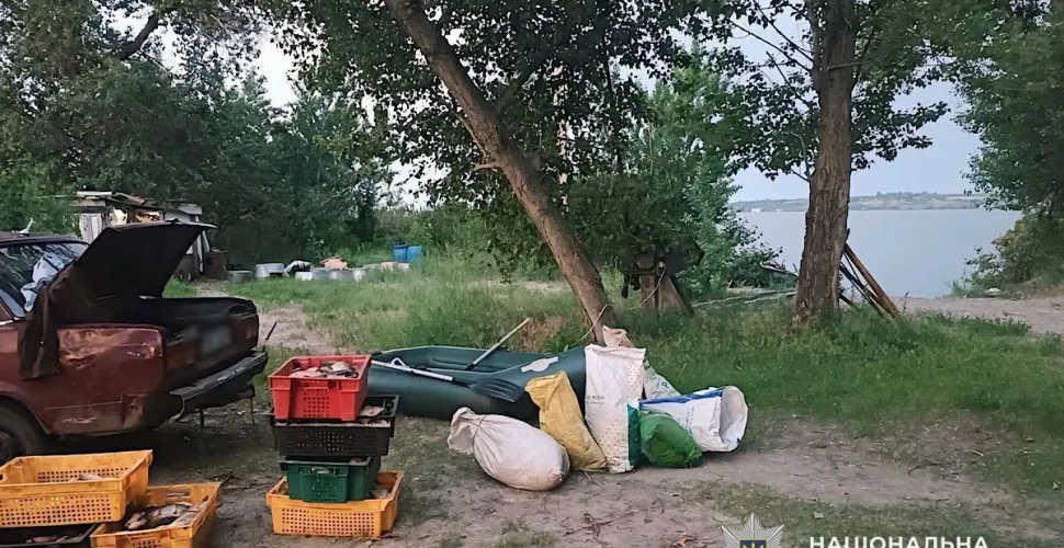 браконьєри