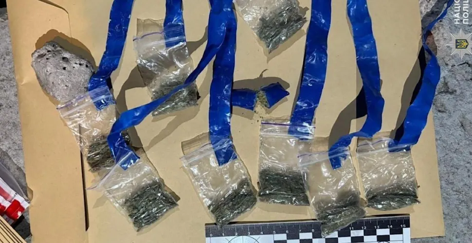 У Дніпрі містянину винесли вирок за наркозлочин