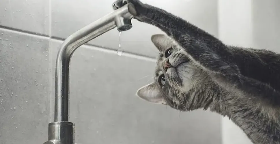 вода