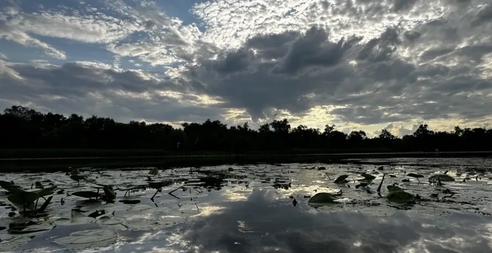 прогноз погоди на тиждень на Дніпропетровщині